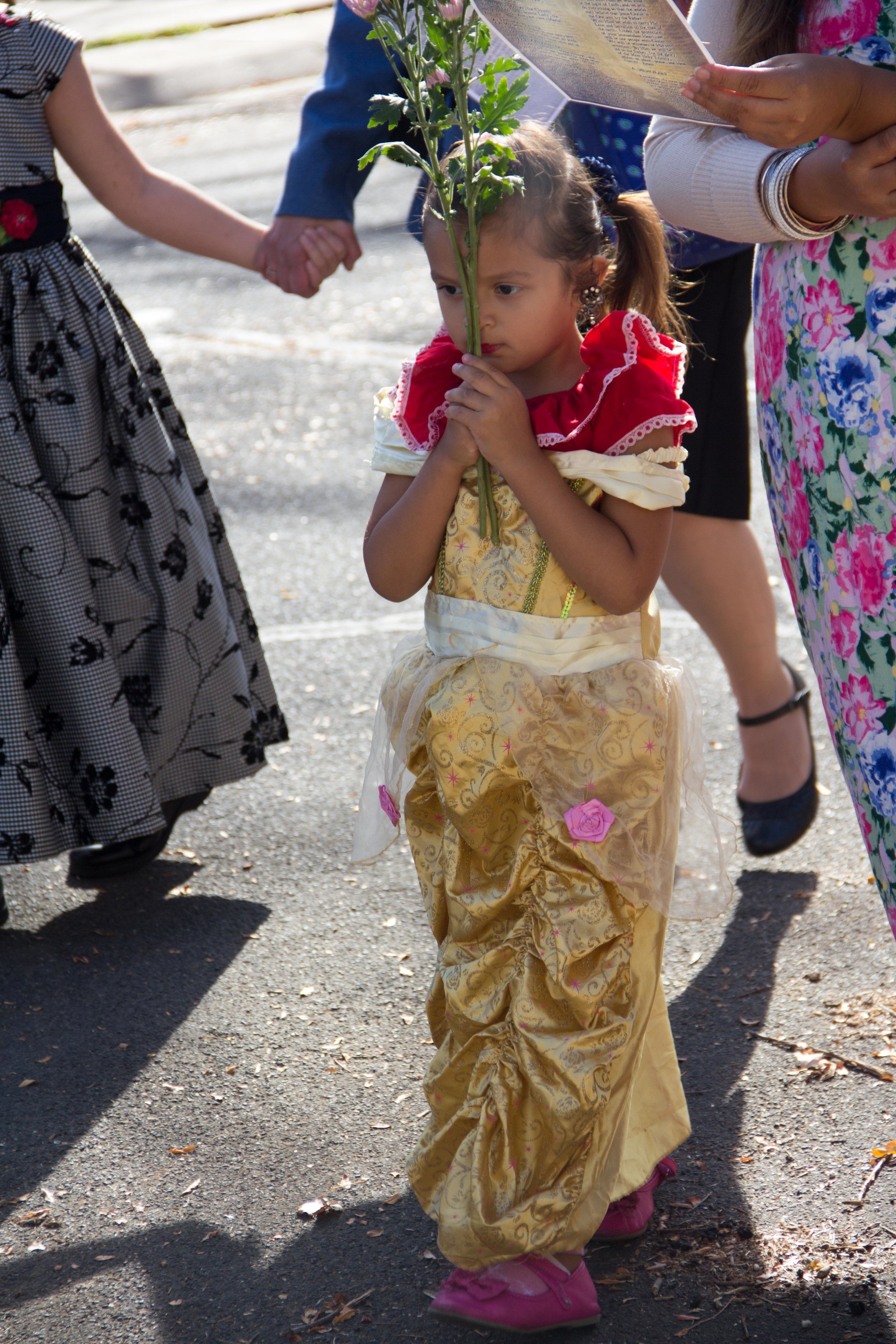 OLF KoC Processional (33 of 34).jpg